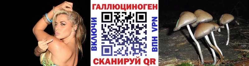 Псилоцибиновые грибы Psilocybine cubensis  ссылка на мегу ссылки  Красавино 